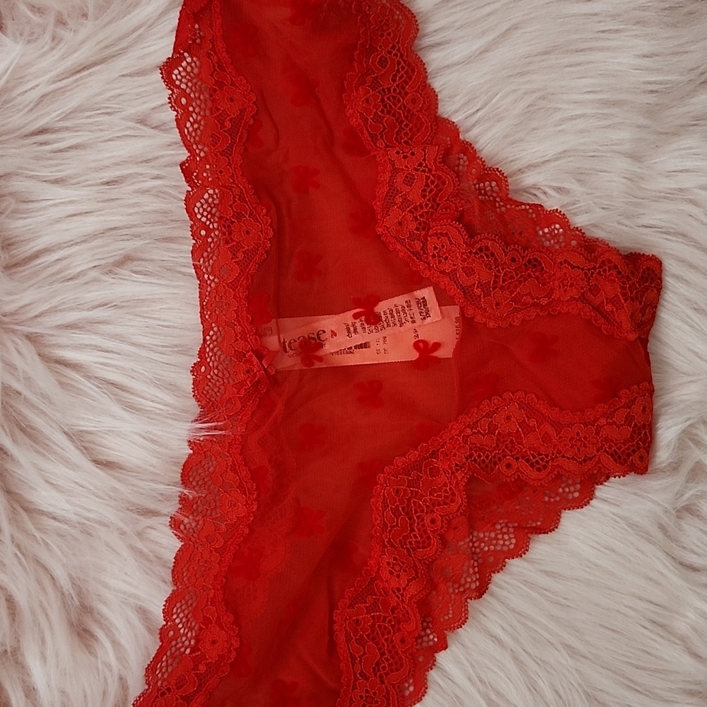 Brand New TEASE VICTORIA'S SECRET MESH LACE CHEEKY PANTY-S